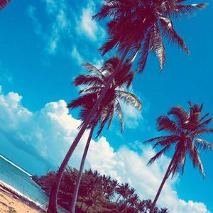 Meet your Posher, Mari